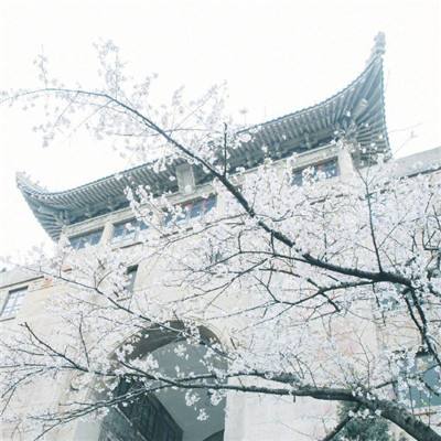 新盗墓笔记小米服下载